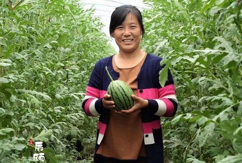 小辰吃瓜,揭秘娱乐圈那些不为人知的幕后故事