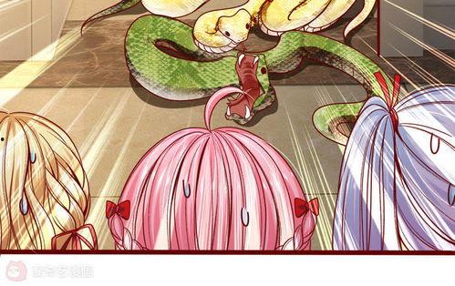 请皇帝吃瓜,一场别开生面的“吃瓜”之旅