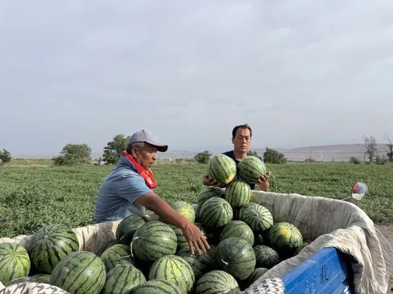 安乐街吃瓜,热闹非凡的吃瓜现场，揭秘街头美食的魅力