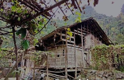 风水吃瓜,吃瓜也能旺运势，揭秘瓜果中的风水奥秘