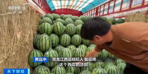 赛格广场吃瓜,吃瓜群众的热闹现场，揭秘网红打卡地的魅力