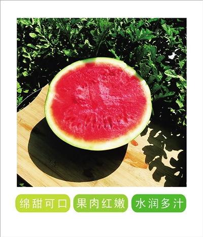 益起吃瓜,共享快乐时光