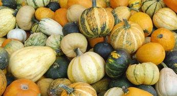 益起吃瓜,共享快乐时光