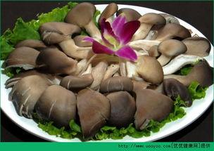 骨折可以吃刺瓜吗,刺瓜适宜与否解析