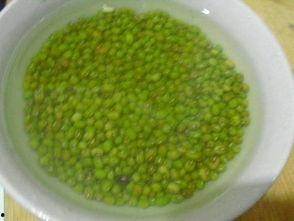 绿菊瓜怎么吃,探索健康美味的烹饪新境界