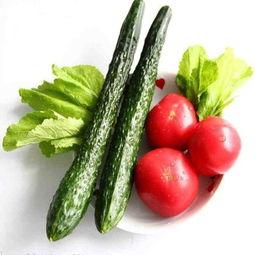 绿菊瓜怎么吃,探索健康美味的烹饪新境界