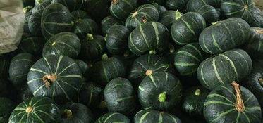 吃鲜瓜升血糖吗,适量食用，血糖无忧