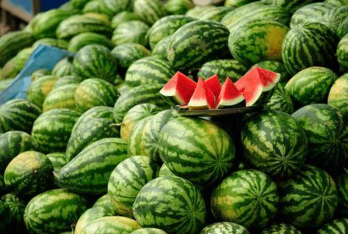 做月可以吃瓜,一场别开生面的月夜食瓜盛宴