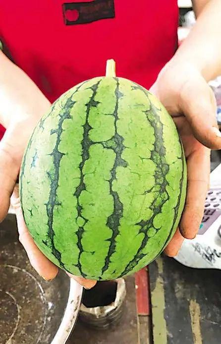 天津大港吃瓜事件,一场引发社会关注的街头冲突