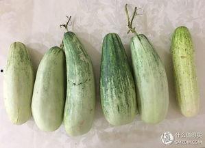 假装路过吃瓜,揭秘“假装路过吃瓜”背后的趣味故事