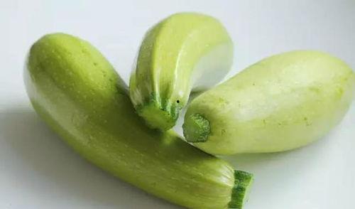 二白瓜怎么吃最好,解锁美味新方式