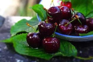 甜樱吃瓜,揭秘娱乐圈甜蜜背后的瓜田秘事