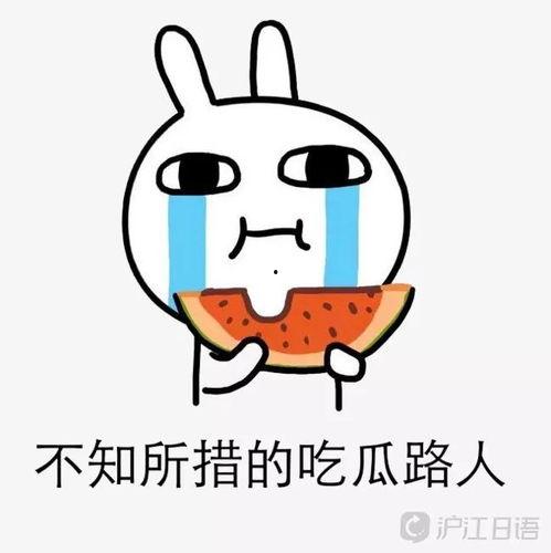 吃瓜日语怎么样,轻松掌握日语中的趣味词汇与表达