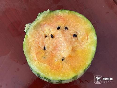 里里同学吃瓜,揭秘校园里的那些“瓜”