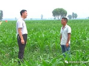 当军人吃瓜,揭秘军人生活中的趣味瞬间