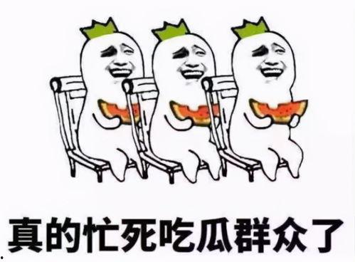 吃瓜群众的好戏,好戏连台，精彩纷呈