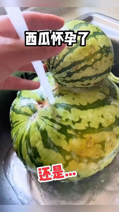 医院吃瓜搞笑,一场欢乐的医疗奇遇记