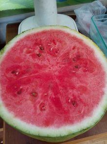 医院吃瓜搞笑,一场欢乐的医疗奇遇记