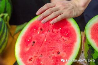 桂林大学吃瓜,吃瓜群众揭秘校园热点事件