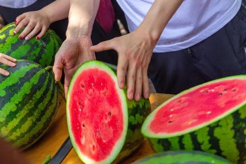 桂林大学吃瓜,吃瓜群众揭秘校园热点事件