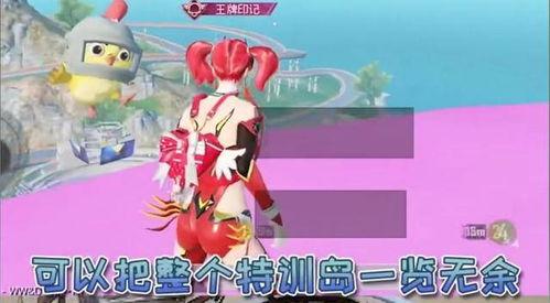 特训岛打卡吃瓜,瓜田里的欢乐时光