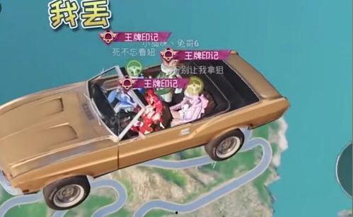 特训岛打卡吃瓜,瓜田里的欢乐时光