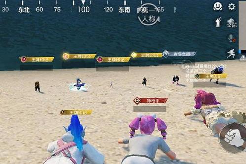 特训岛打卡吃瓜,瓜田里的欢乐时光