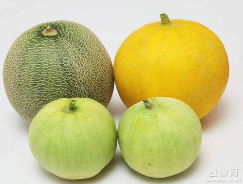 嗓子哥吃瓜,揭秘娱乐圈那些不为人知的幕后故事