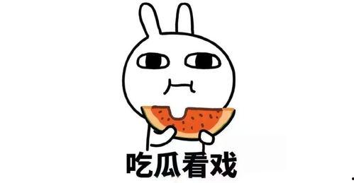 吃瓜不忘洗把脸,揭秘娱乐圈的清新一面