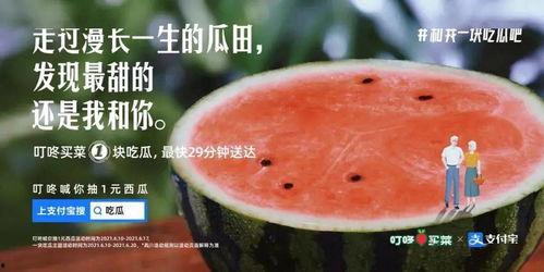 吃瓜吃的好快的文案,揭秘吃瓜群众的“快节奏”生活