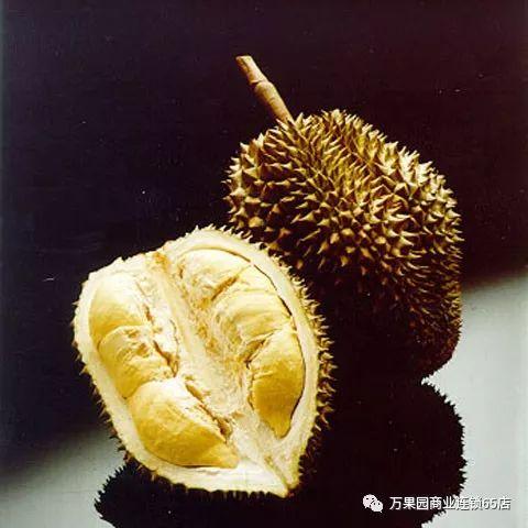 吃榴莲哈密瓜视频,一场甜蜜的味蕾之旅