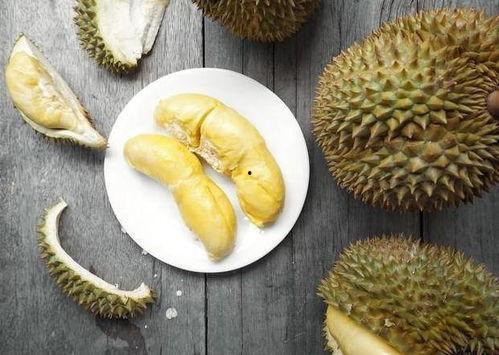 吃榴莲哈密瓜视频,一场甜蜜的味蕾之旅