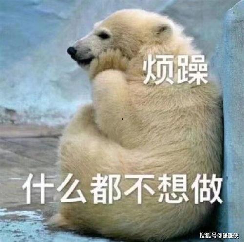 吃瓜群众霸气图片,揭秘娱乐圈幕后真相