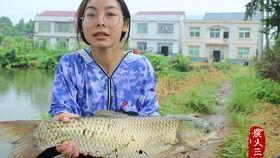 草鱼网站吃瓜,揭秘吃瓜群众的狂欢盛宴