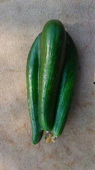 瓜还可以这么吃