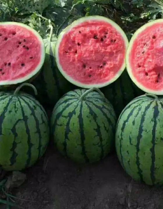 瓜还可以这么吃