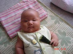 小调皮睡前吃瓜,揭秘瓜界趣闻，甜蜜梦乡前的轻松小憩