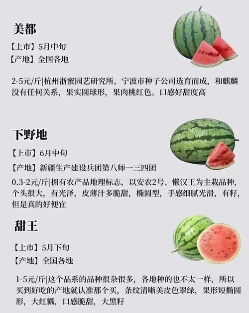 新人吃瓜手册,轻松入门娱乐圈八卦世界