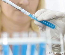 试管前期可以吃角瓜吗,角瓜食用指南