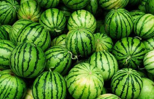 吃瓜在哪看,一站式娱乐资讯平台大揭秘